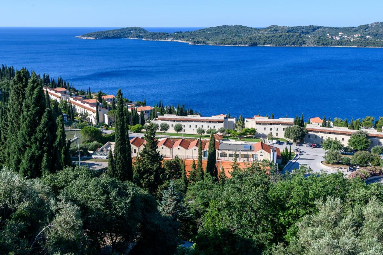 Apartment Mario - Veliki Stan Za Odmor - Terasa- Vrt - Bazen - Pogled More, Izoliran Орашац Екстериор снимка
